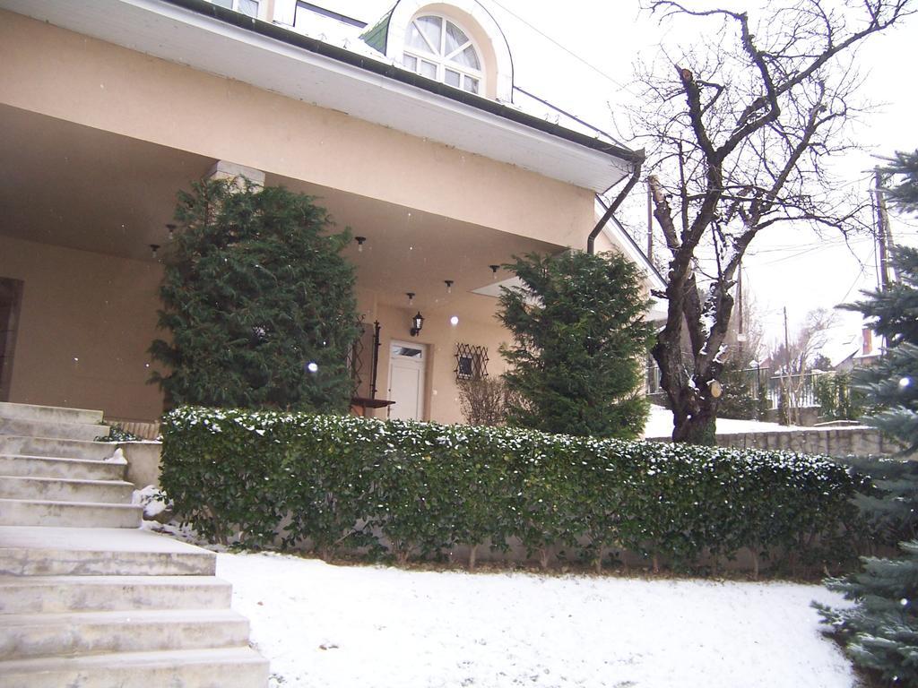 Villa Szekely Leányfalu 외부 사진